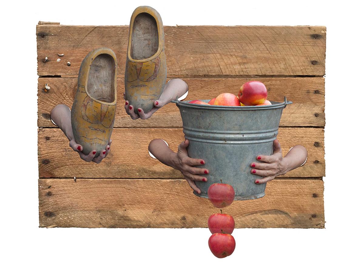 Apples from my Garden